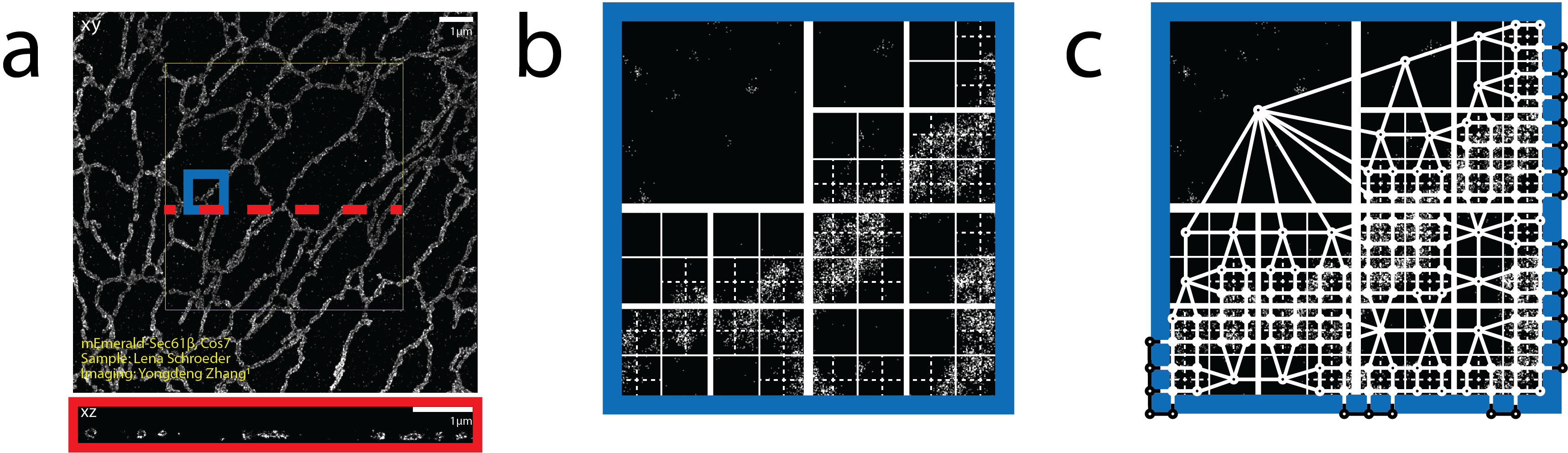 ../_images/image_octree.png